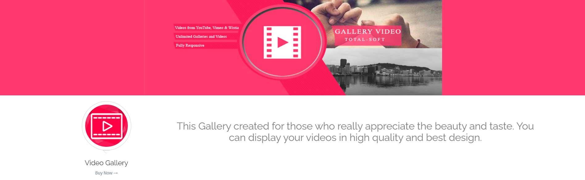 Video Gallery YouTube WordPress plugin